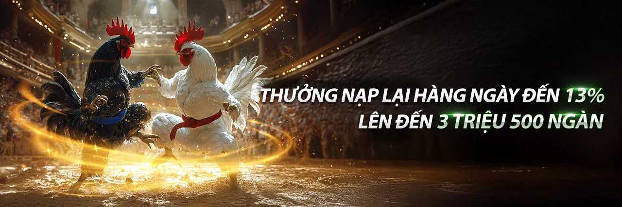 Tin tức betvip bet mới nhất