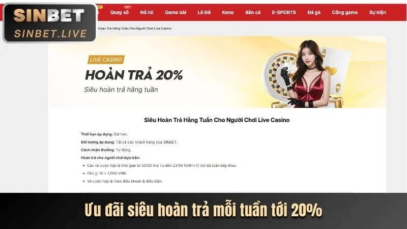 betvip bet triển khai chương trình khuyến mãi lớn nhất năm 2026